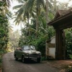 Keralafonia